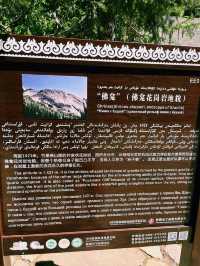 中國新疆阿勒泰著名景點：可可託海世界地質公園