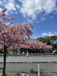 東京小眾景點推薦—清澄白河