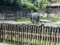 A Day Trip to Taiping Zoo