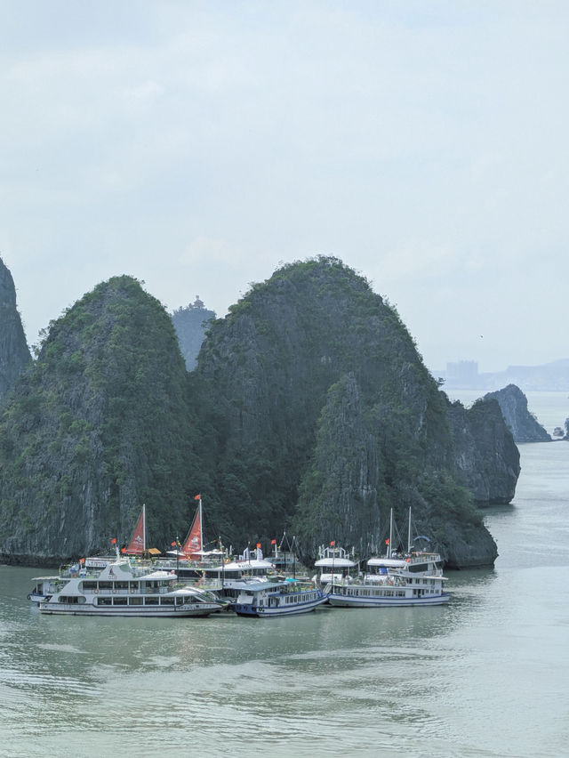 🇻🇳 Halong Bay: When Nature Outshines Every Filter ⛰🛳