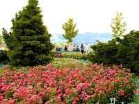 The Rose Garden (Rosengarten): The jewel of Switzerland!