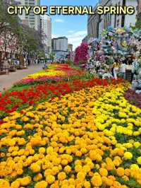 WELCOME TO KUNMING, WHERE EVERYDAY FEELS LIKE SPRING