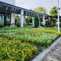 🌟ร้านอาหารไทยโบราณ&นานาชาติ สไตล์นั่งชิลล์