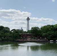 Spring Serenity at Tennoji Park