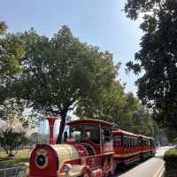 長沙橘子洲半日遊｜毛澤東像打卡、湘江睇日落、小火車漫遊