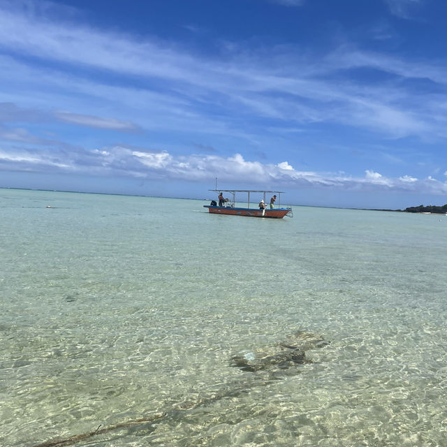 【与論島】絶景の百合が浜に会いに、与論島へ🏝️✨