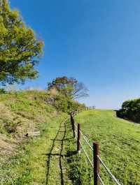 A Peaceful Solo Hike to Gyejoksan Fortress from Jangdongsan Forest Park
