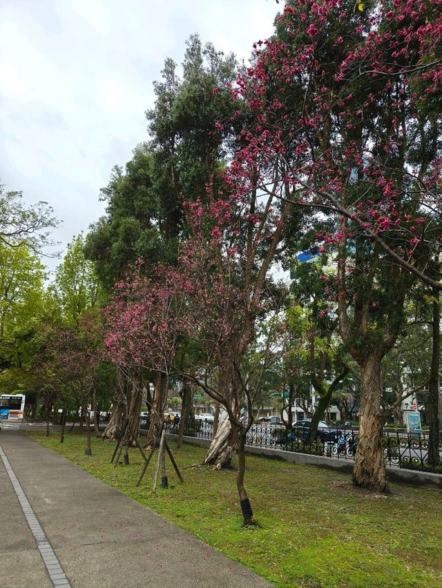 Where History Meets the City – Chungshan Cultural Park