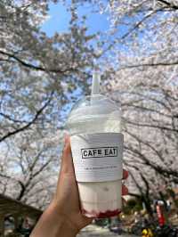 Daejeon: Korea’s Underrated Blossom EscapeLocation: Daejeon, South Korea