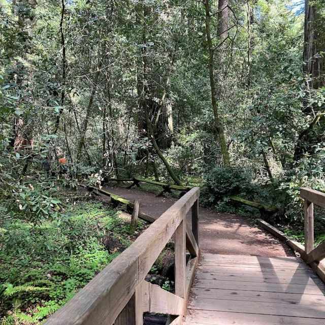 Armstrong Redwoods State Natural Reserve – Guerneville, CA