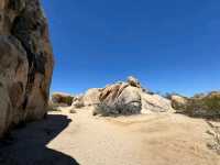 Joshua Tree National Park – CA