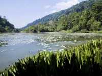 🌿 Thale Ban National Park: A Backpacker’s Guide to Southern Thailand’s Emerald Secret! 