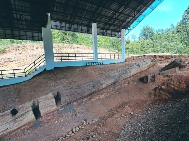 ฟอสซิลไม้กลายเป็นหินที่ใหญ่ที่สุดในเอเชีย