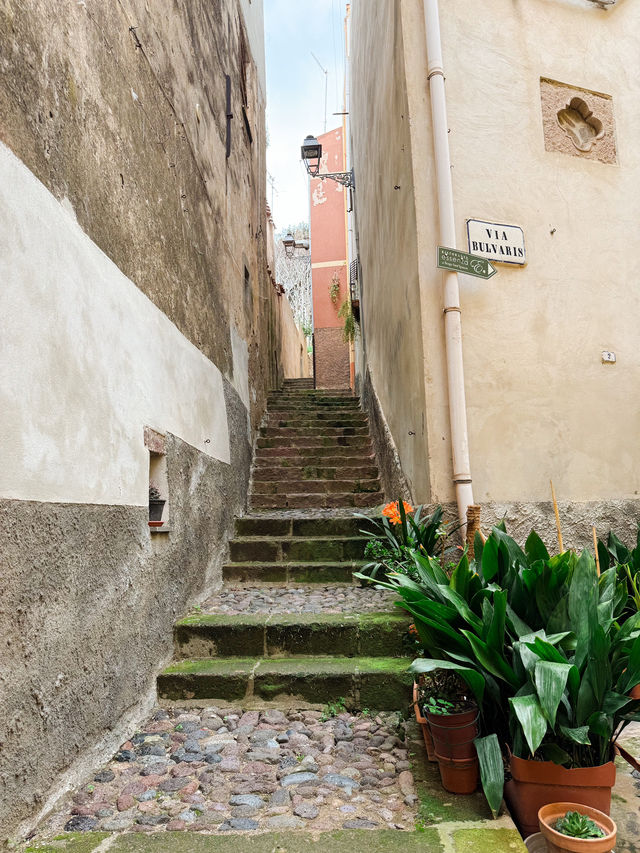 “イタリアで最も美しい村”のひとつ🇮🇹ボーザ