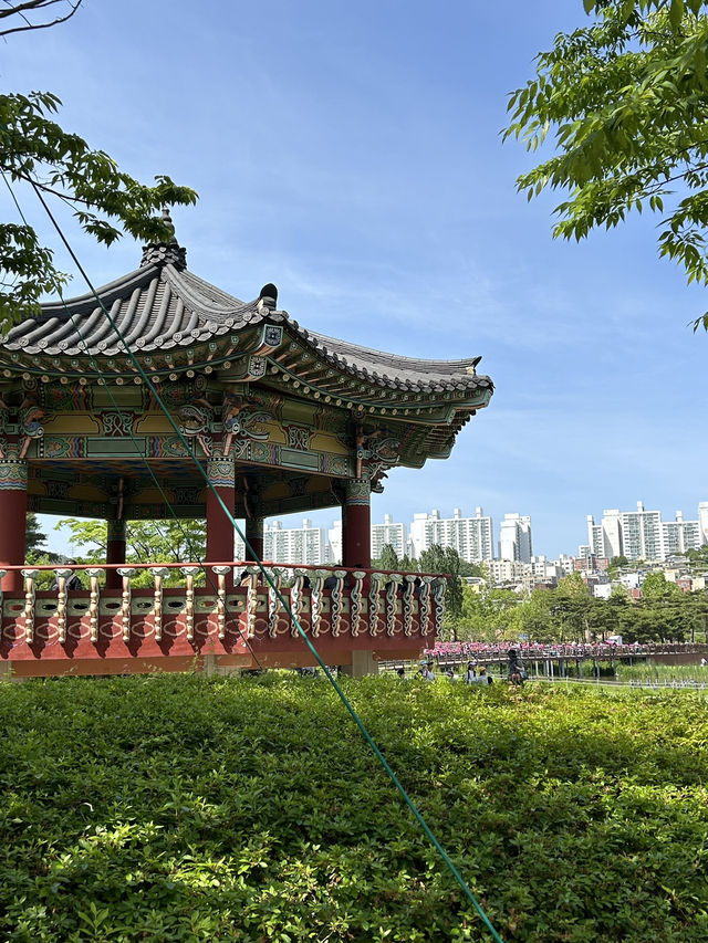 가족과 함께하는 도심 속 힐링, 부산시민공원🌿