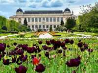 SPRING BLOOMS IN PARIS | JARDIN DES PLANTES