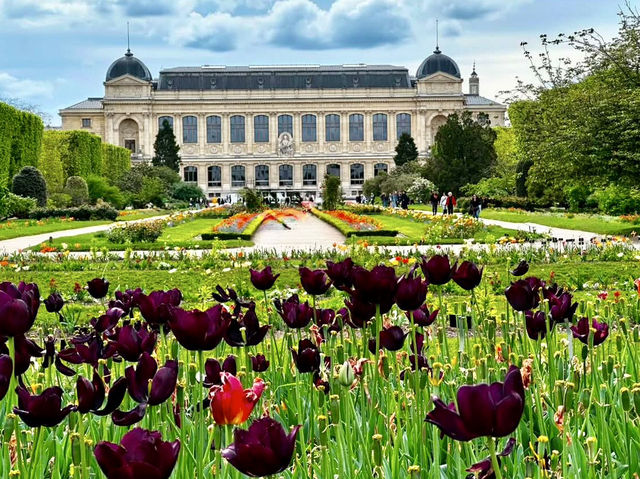 SPRING BLOOMS IN PARIS | JARDIN DES PLANTES