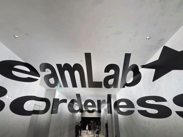 TeamLab Borderless: MORI Building DIGITAL ART MUSE