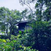 Permai Rainforest Resort: A Serene Getaway in Nature’s Embrace