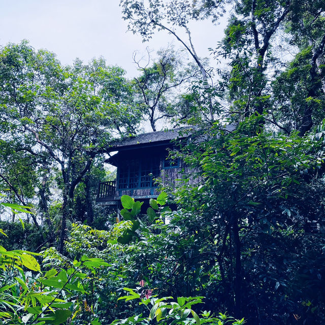 Permai Rainforest Resort: A Serene Getaway in Nature’s Embrace