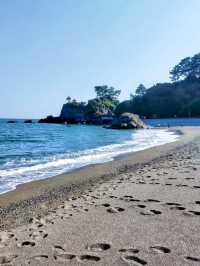Local Wandering in Kōchi – Castles, Coastlines & Quiet Moments