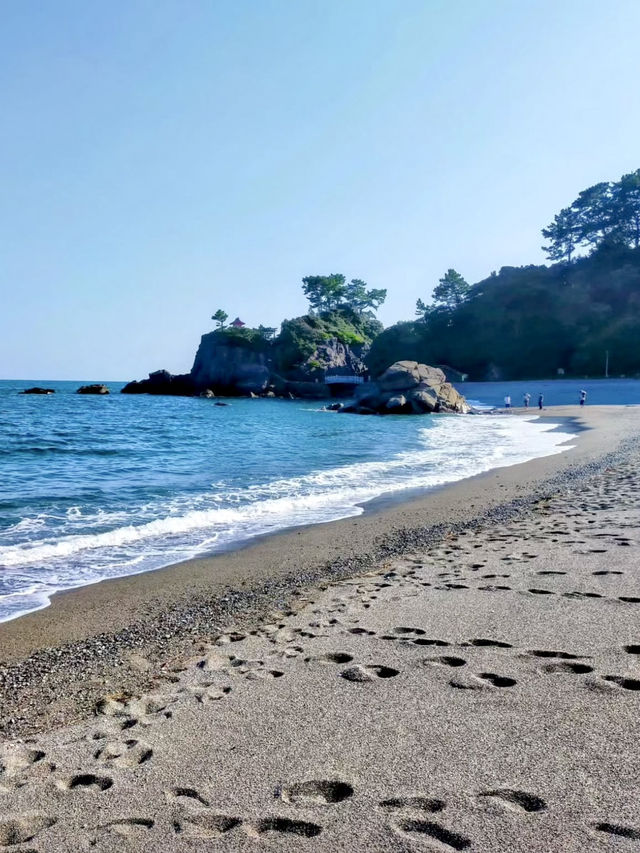 Local Wandering in Kōchi – Castles, Coastlines & Quiet Moments