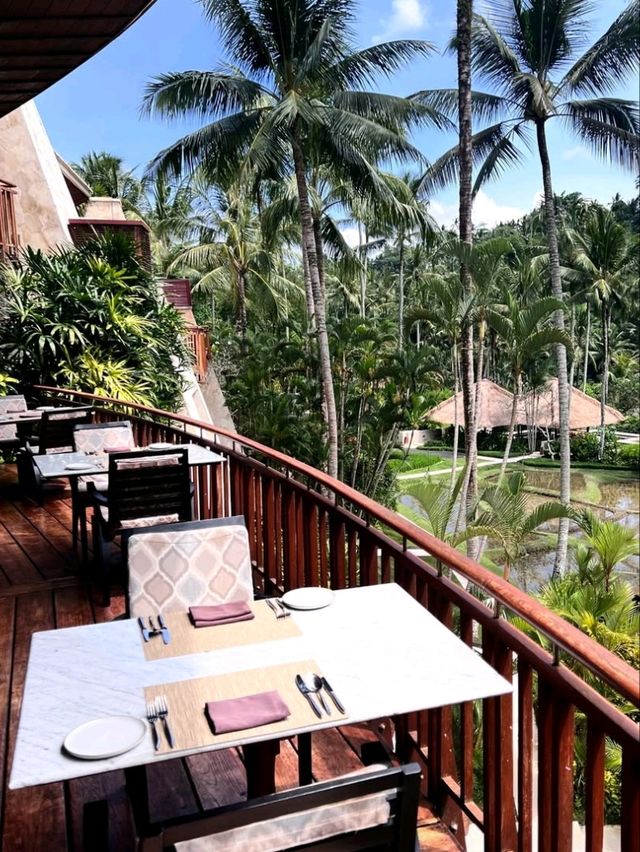 🍽️ A Feast in the Forest – Dining at Four Seasons Resort Bali at Sayan