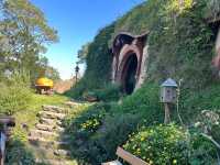 紐西蘭哈比村 Hobbiton｜童話場景的現實版，好拍到停不下來！