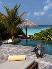 🌴 Angsana Velavaru Maldives: A Vibrant Escape into Barefoot Luxury