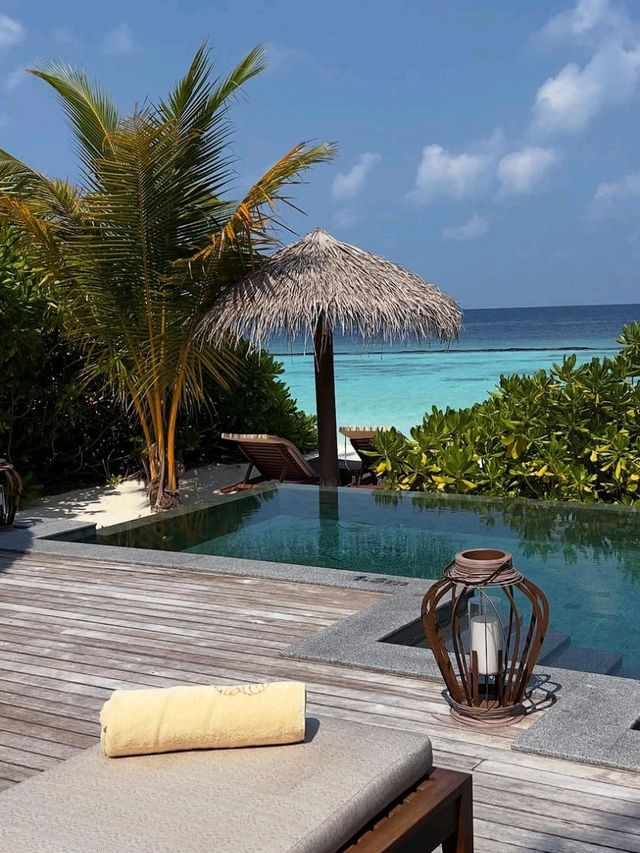 🌴 Angsana Velavaru Maldives: A Vibrant Escape into Barefoot Luxury