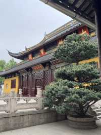 A place so peaceful even the cats seem to meditate — Xiyuan Temple