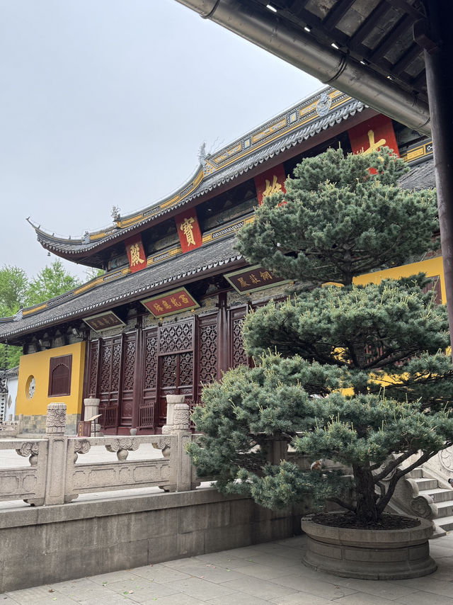 A place so peaceful even the cats seem to meditate — Xiyuan Temple