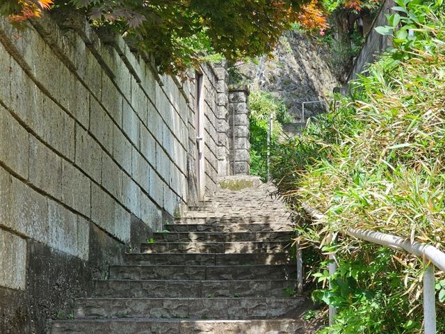 전역 후 혼자서 감미로운 일본 여행 🇯🇵