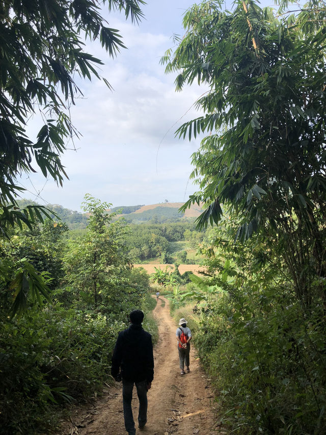 ⛰️🌫️ พาชมทะเลหมอก “ยอดเขาเทวดา” สุพรรณบุรี 