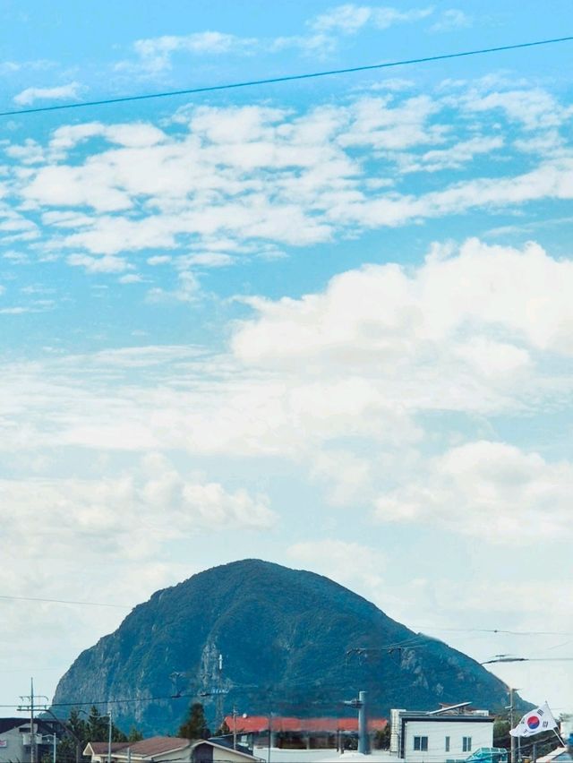 제주도역사여행 [추사관]