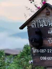 “หนีเมือง มานอนดูดาวที่ลานพันดาว” 🌲✨