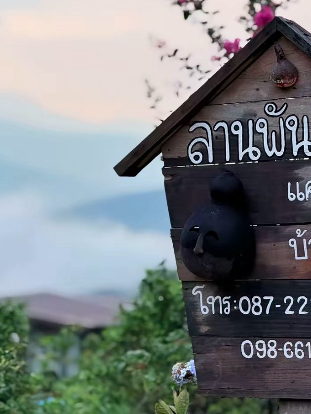 “หนีเมือง มานอนดูดาวที่ลานพันดาว” 🌲✨