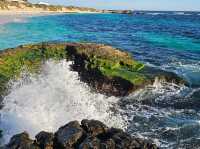 A Perfect Escape to Rottnest Island