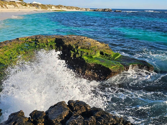 A Perfect Escape to Rottnest Island