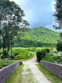 ฮีลใจให้กันที่ alpaca hill ราชบุรี