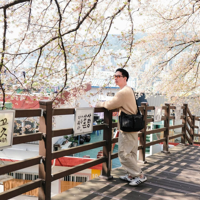 Busan 3 Days 2 Nights 🌸🏖️