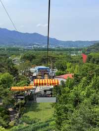🌳 Discover Nature and Fun at Seoul Grand Park! 🦁