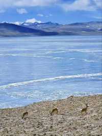 Pumoyongcuo: Tibet’s Hidden Jewel in the Sky