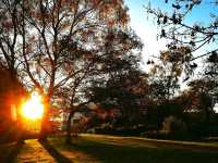 Where the River Knows Spring” — Longford Park Awakens 