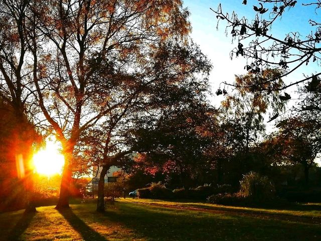 Where the River Knows Spring” — Longford Park Awakens 