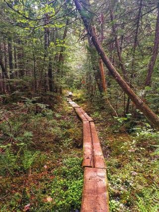 Thru-Hiking the Appalachian Trail: 2,190 Miles of Pure Adventure