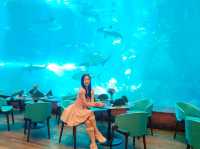 Deep Sea Cafeteria