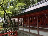 🎐京都親子散策｜穿上和服漫步八坂神社👘⛩️