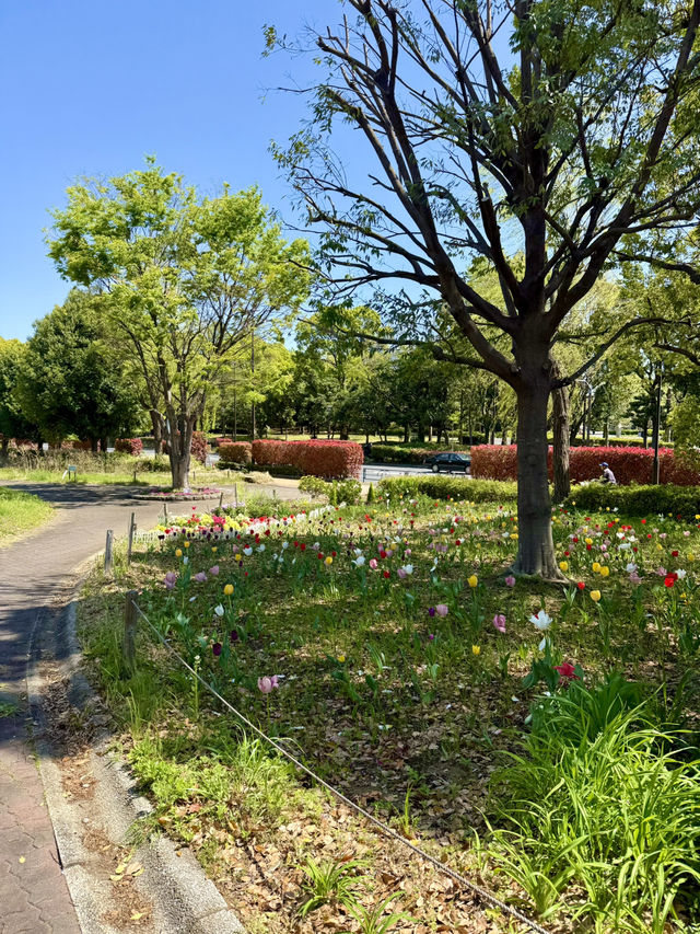 Art & Nature Escape in Kiba, Tokyo 🍃🖼️
