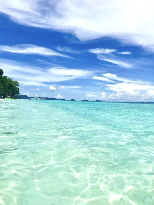 こんなに安くて大満足！シミランで賢くリゾート体験🌊🐠💸